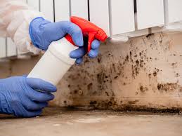 Professional Mold Removal Services in Veedersburg, IN